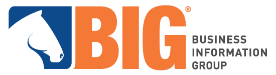 BIG Business Information Group