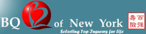 BQ of New York Inc