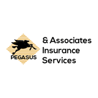 Pegasus Insurance