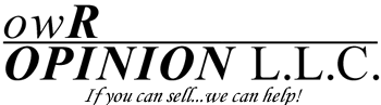owR Opinion LLC
